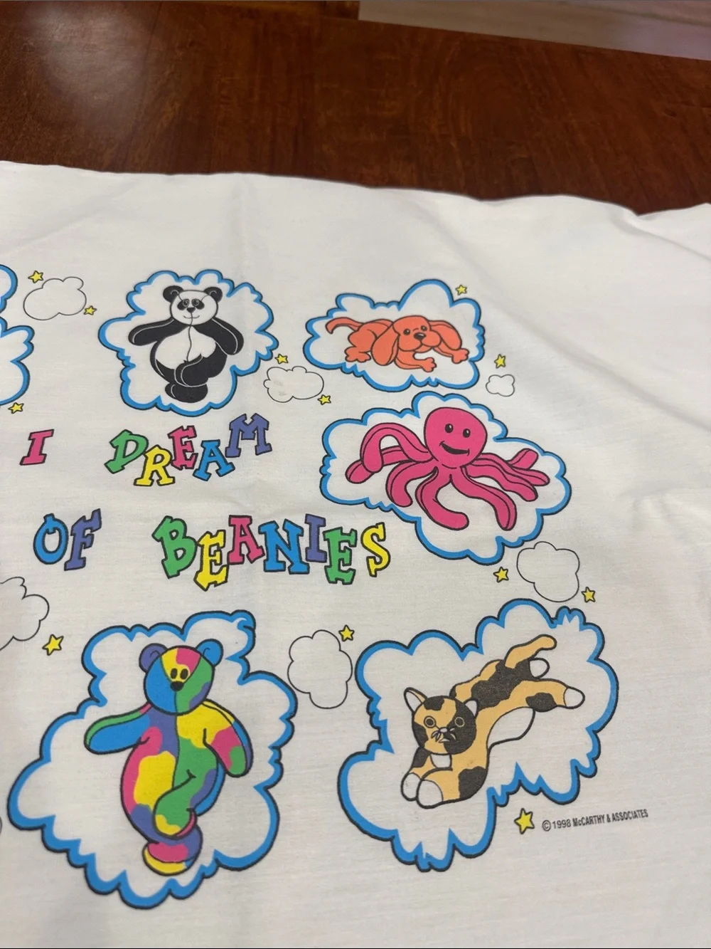 Vintage 90s “I Dream of Beanie” Pillowcase with Beanie Babies